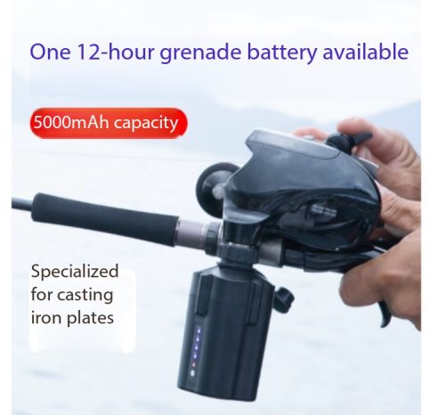 Electric Fishing Reel Battery  - đánh giá và giá Electric Reel